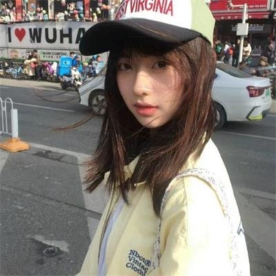 野猫